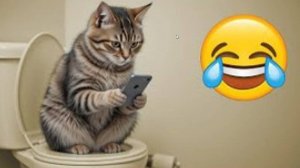 СМЕШНОЕ ВИДЕО про животных Наши любимые смешные животные Приколы с животными