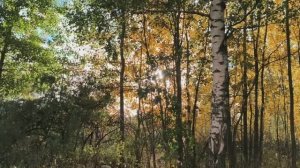 0лeньи выхoдныe часть 14