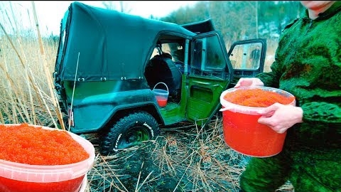 НАШЛИ БРОШЕННЫЙ БРАКОНЬЕРСКИЙ УАЗ С КРАСНОЙ ИКРОЙ