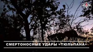 💥 Расчёт самоходного миномёта «Тюльпан» группировки войск «Восток» уничтожил укреплённый пункт у...