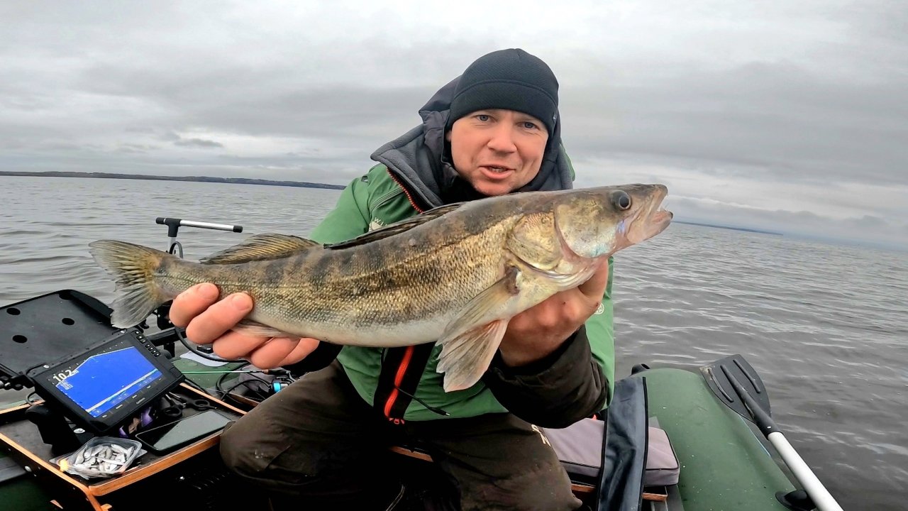ЭТО МЕСТО КИШИТ РЫБОЙ! Рыбалка на СУДАКА И БЕРША в отвес. Бешеный клев! Настройки эхолота Calypso.