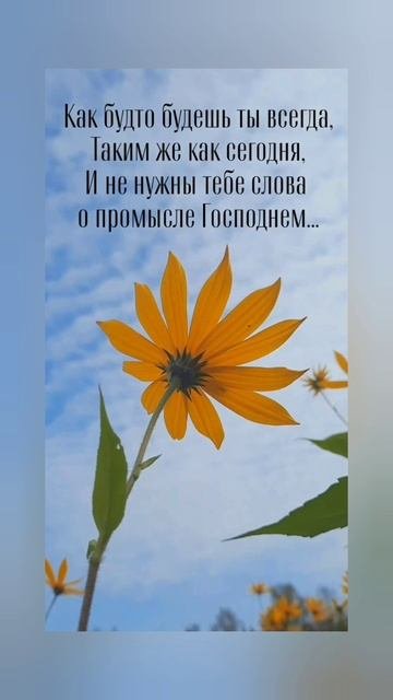 Мы устремляем к небу взор...