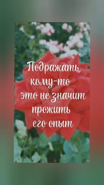 Мы все разные ❣️