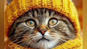 Самым близким! 🍁🍁🍁