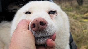 Пошли на девятый год