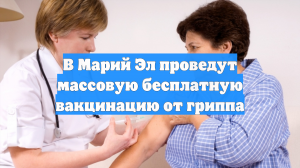 В Марий Эл проведут массовую бесплатную вакцинацию от гриппа
