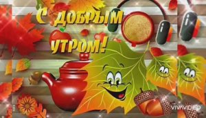 С ДОБРЫМ ОСЕННИМ УТРОМ ВОСКРЕСЕНЬЯ ! С ОТЛИЧНЫМ НОЯБРЬСКИМ ДЕНЬКОМ!