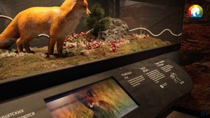 91 год на страже первозданной природы Камчатки