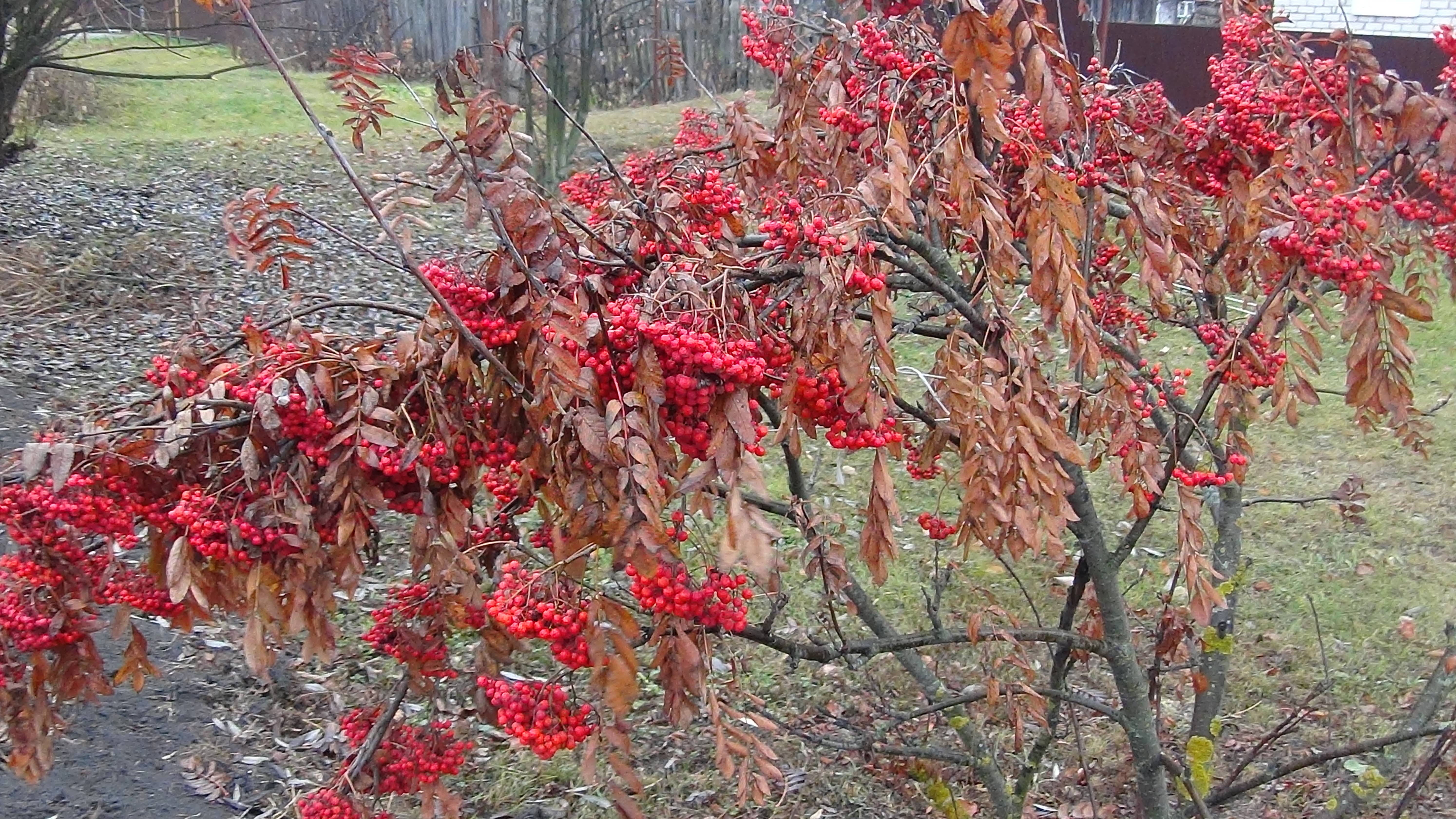Первые штрихи преображения.