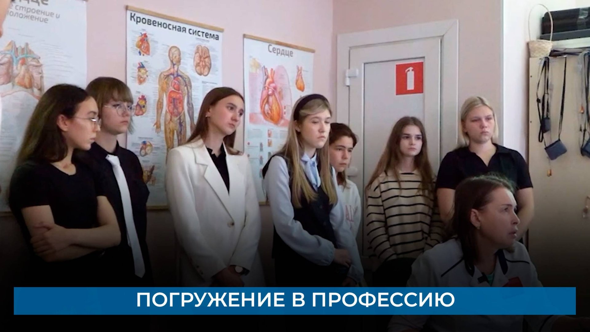 Погружение в профессию