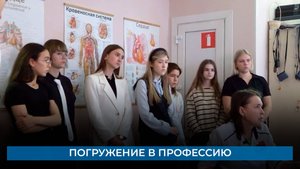 Погружение в профессию