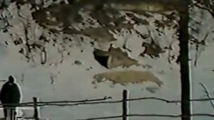 отец Ипполит. ТВ- Репортаж 1996г.