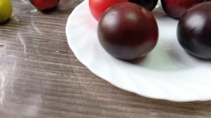 Пять сортов томатов серии Гондвана