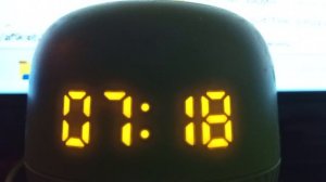 Один анекдот и факты про кошек от Маруси 01-11-2025