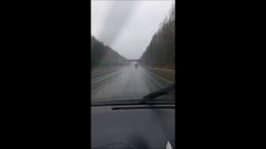 31 октября 2025