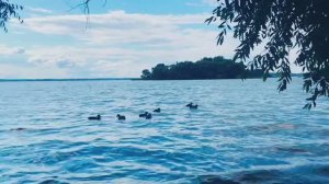 "Вселенная дышит любовью". Автор текста Нго-ма. Читает Юрий Голд. Видеорежиссер Вероника Филатова.