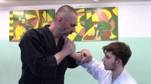 НИККЁ, Большой разбор, айкидо "Борей"