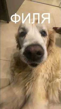 деньги vs любовь (идея @ryan) смотреть онлайн