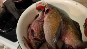 Он не хочет а я хочу. Приготовление вкуснейшего карася. Жизнь аборигенки. 28.10.25.