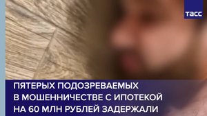 Пятерых подозреваемых в мошенничестве с ипотекой на 60 млн рублей задержали