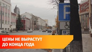 Власти Уфы не повысят тарифы на платную парковку до конца года