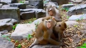 Операторы знают верный подход к матери семейства Либби   1000039686.mp4