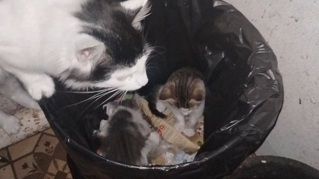 Мусорщики😂