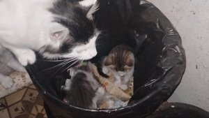 Мусорщики😂