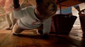 Маша и медведи 2025