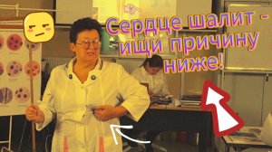 Главная тайна болезней сердца