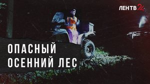 Как не заплутать в чаще?