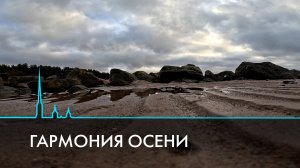 Гармония осени. Время года и жанр искусства