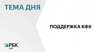 Объём поддержки малых форм хозяйствования в АПК Башкортостана в 2026 г. составит ₽440 млн