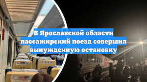 В Ярославской области пассажирский поезд совершил вынужденную остановку