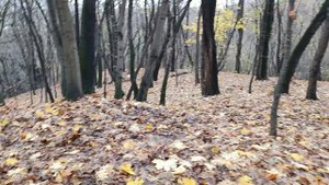 10 месяцев. Прогулка в парке Коломенское.mp4