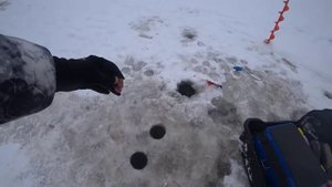 Крупная Плотва по перволедью