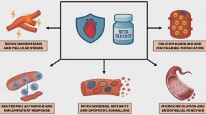 Конец эры рассмотрения бета-блокаторов как монолитного класса препаратов. Таргетированная стратегия