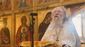 «Чаю (ожидаю) воскресения мертвых». Проповедь в Димитриевскую родительскую субботу 01.11.2025