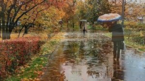 На пороге ноябрь.