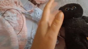 СП,,Радуга,,4 сезон. с Людмилой Красноперовой.Отчет по голубой неделе. Участник16