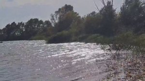 ДАЧНЫЙ БЛЮЗ "ОСЕНЬ" ДЛЯ ДУШИ