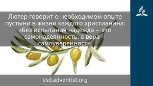 2 ноября 2025. Милость Твоя лучше жизни. Под сенью благодати | Адвентисты