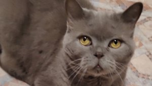 Приготовила новый рис.Вроде нормально 👌.Новая формочка 👍 пришла.