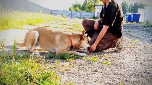 БусинкаОткликов по девочке совсем нет