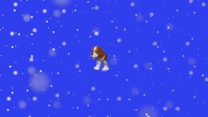 Солнечный зайчик!!! #