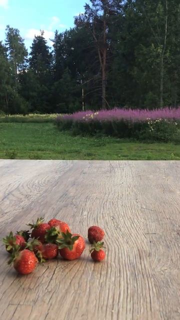 Ленинградская область. Хвойное. 10.07.2024. Дача. Видео пейзаж с  первыми ягодами клубники