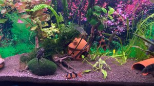 Многодетные родители