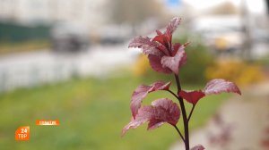 Прогноз погоды