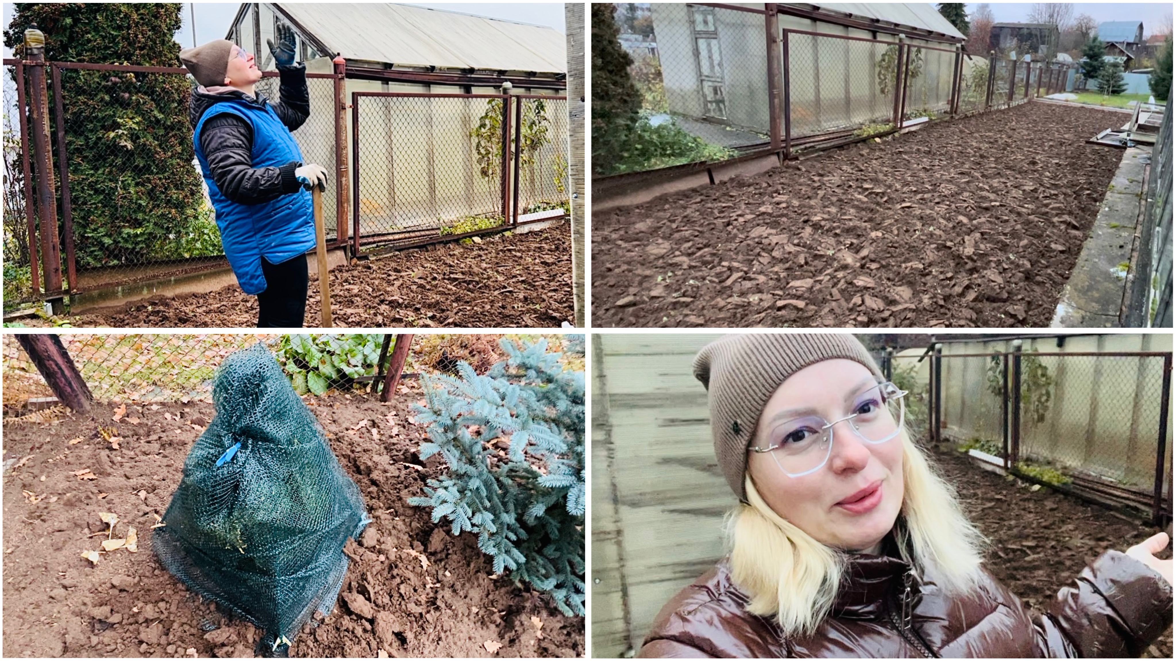 25 октября. НАТАША-МОТОБЛОК. Докопала поле, укрыла ТУИ.