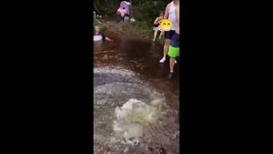 Подборка эпик фейлов